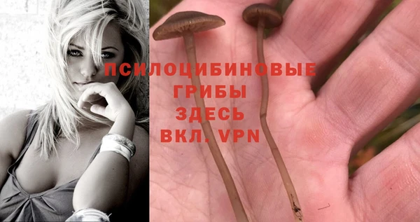 гашишное масло Протвино
