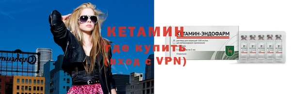 шишки Гусиноозёрск
