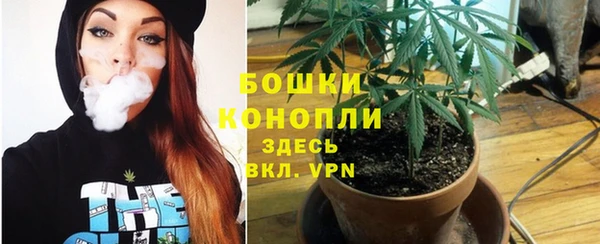 прущие грибы Пролетарск