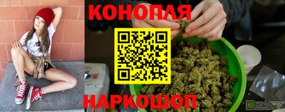 гидропоника Сланцы