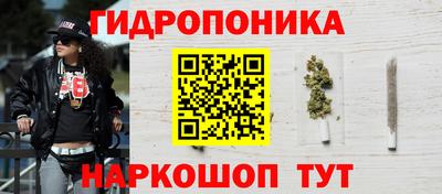 гидропоника Сланцы