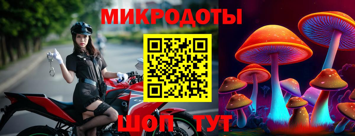 Советск  Псилоцибиновые грибы Cubensis  Вход с VPN  Псилоцибиновые грибы мицелий 